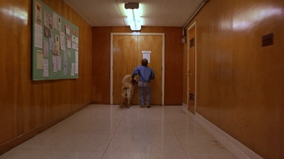 1997_-_Air_Bud_mp42798.jpg