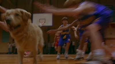 1997_-_Air_Bud_mp43052.jpg