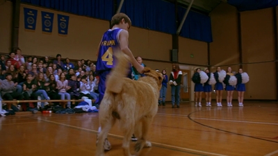 1997_-_Air_Bud_mp43085.jpg