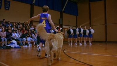 1997_-_Air_Bud_mp43086.jpg