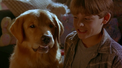 1997_-_Air_Bud_mp43214.jpg