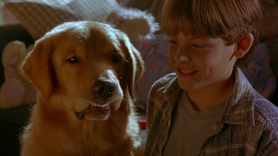 1997_-_Air_Bud_mp43215.jpg