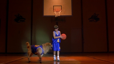 1997_-_Air_Bud_mp43406.jpg
