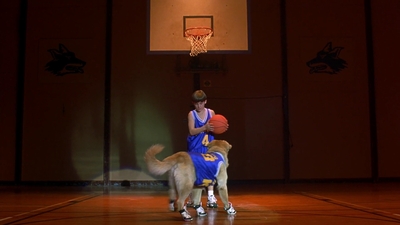 1997_-_Air_Bud_mp43407.jpg