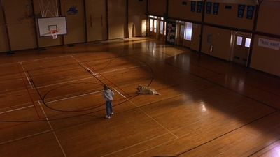 1997_-_Air_Bud_mp43566.jpg