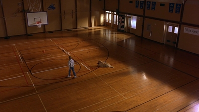 1997_-_Air_Bud_mp43570.jpg