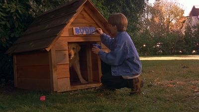 1997_-_Air_Bud_mp43662.jpg