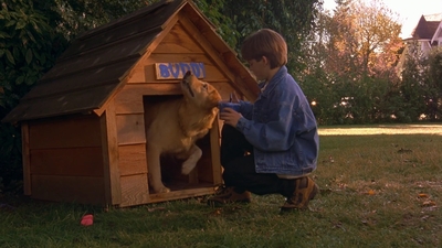 1997_-_Air_Bud_mp43663.jpg