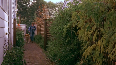 1997_-_Air_Bud_mp43800.jpg