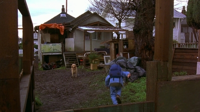 1997_-_Air_Bud_mp44013.jpg