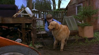 1997_-_Air_Bud_mp44021.jpg