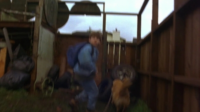 1997_-_Air_Bud_mp44053.jpg