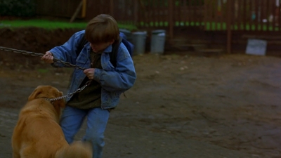 1997_-_Air_Bud_mp44071.jpg