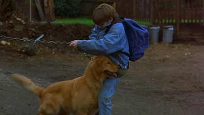 1997_-_Air_Bud_mp44080.jpg