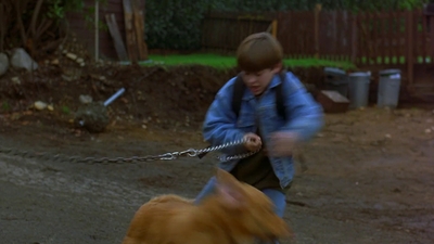 1997_-_Air_Bud_mp44081.jpg
