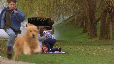 1997_-_Air_Bud_mp44134.jpg