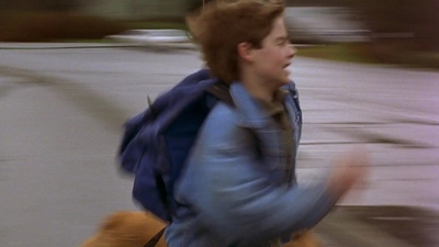 1997_-_Air_Bud_mp44142.jpg