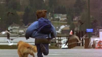 1997_-_Air_Bud_mp44150.jpg