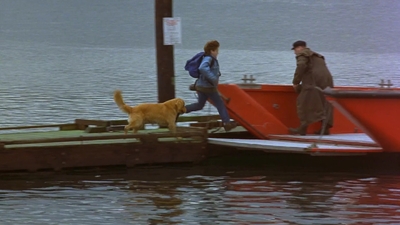 1997_-_Air_Bud_mp44170.jpg