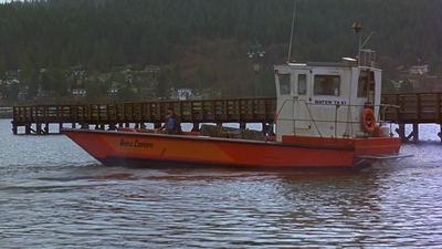 1997_-_Air_Bud_mp44189.jpg