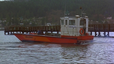 1997_-_Air_Bud_mp44190.jpg
