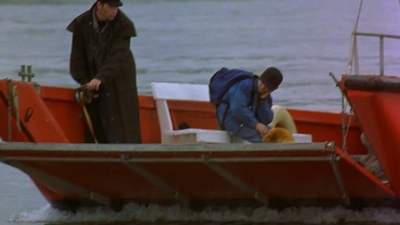 1997_-_Air_Bud_mp44213.jpg