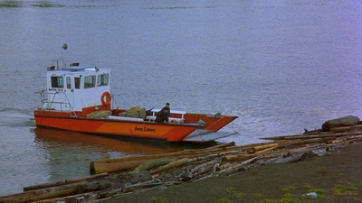 1997_-_Air_Bud_mp44220.jpg
