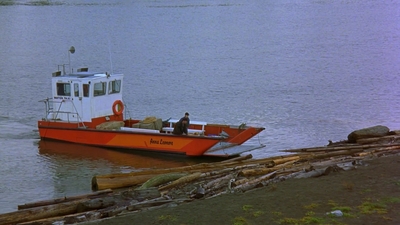 1997_-_Air_Bud_mp44221.jpg