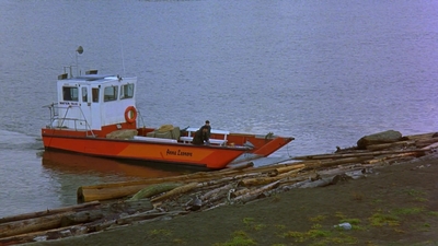 1997_-_Air_Bud_mp44224.jpg