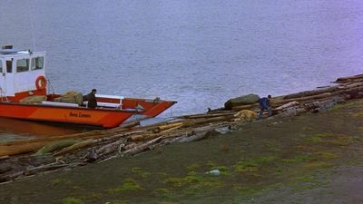 1997_-_Air_Bud_mp44232.jpg