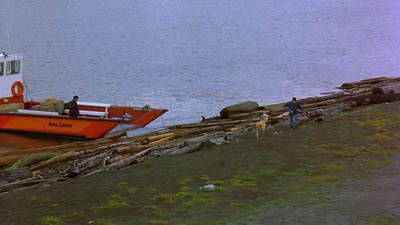 1997_-_Air_Bud_mp44234.jpg