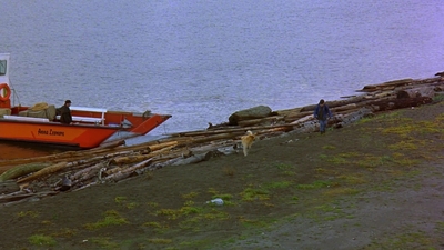 1997_-_Air_Bud_mp44236.jpg