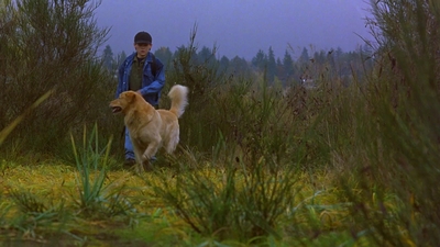 1997_-_Air_Bud_mp44242.jpg
