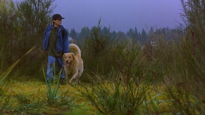 1997_-_Air_Bud_mp44243.jpg