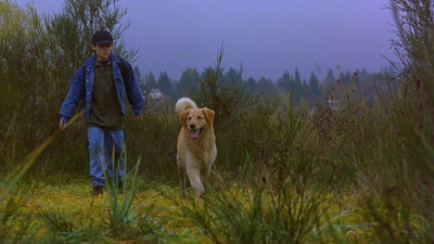1997_-_Air_Bud_mp44244.jpg