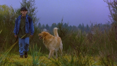 1997_-_Air_Bud_mp44245.jpg