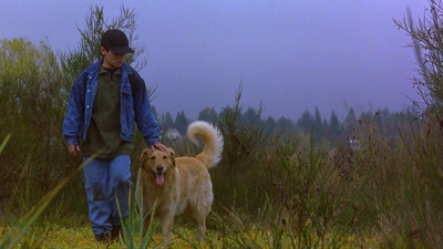 1997_-_Air_Bud_mp44246.jpg