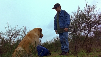 1997_-_Air_Bud_mp44258.jpg
