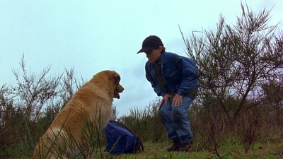 1997_-_Air_Bud_mp44259.jpg