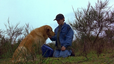 1997_-_Air_Bud_mp44261.jpg