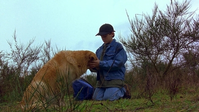 1997_-_Air_Bud_mp44262.jpg