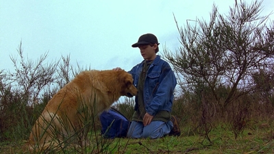 1997_-_Air_Bud_mp44264.jpg