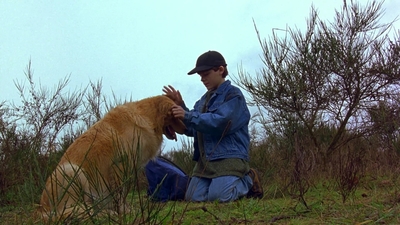 1997_-_Air_Bud_mp44267.jpg