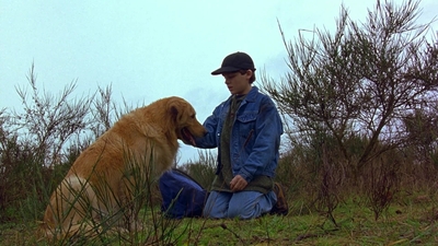 1997_-_Air_Bud_mp44269.jpg