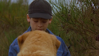 1997_-_Air_Bud_mp44275.jpg