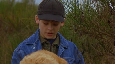 1997_-_Air_Bud_mp44276.jpg