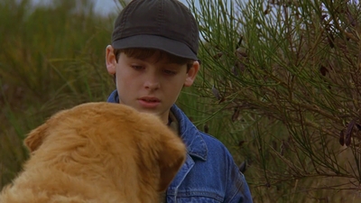 1997_-_Air_Bud_mp44280.jpg