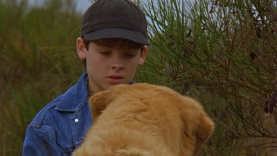 1997_-_Air_Bud_mp44281.jpg