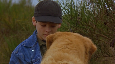 1997_-_Air_Bud_mp44282.jpg