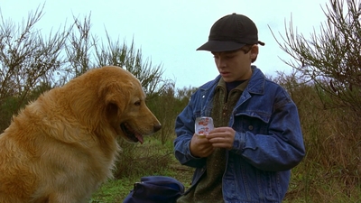 1997_-_Air_Bud_mp44304.jpg